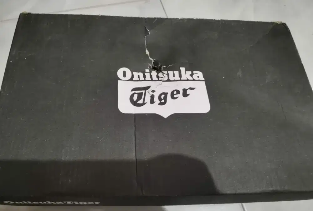 Onitsuka tiger anak