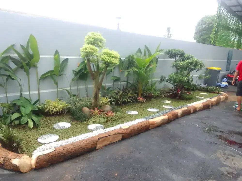 Tukang taman minimalis- tukang taman profesional