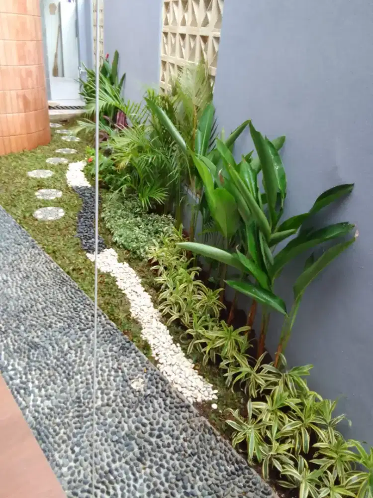 Tukang taman murah dan berkualitas-pembuatan taman murah