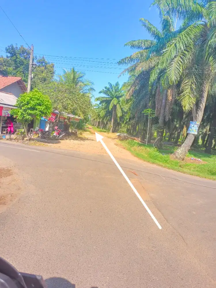 Jual tanah Datar,629m2 dan 768m2. Siap bangun