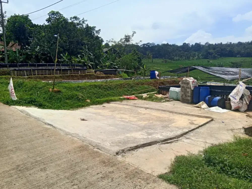 Assalamualaikum info loker pak bu