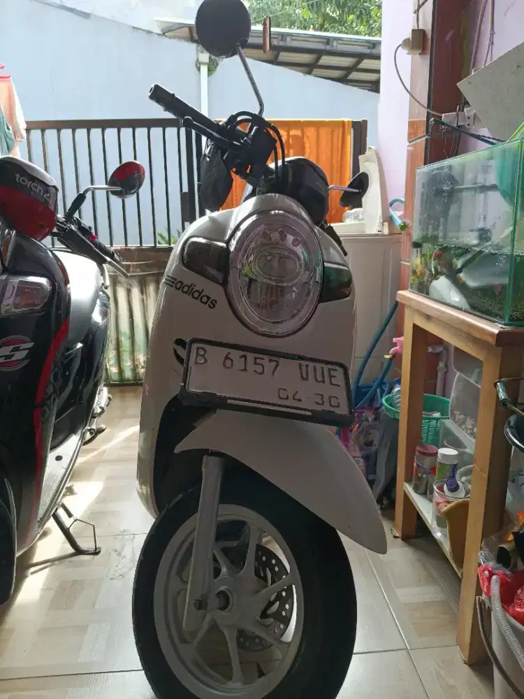 SCOOPY DONAT 2020