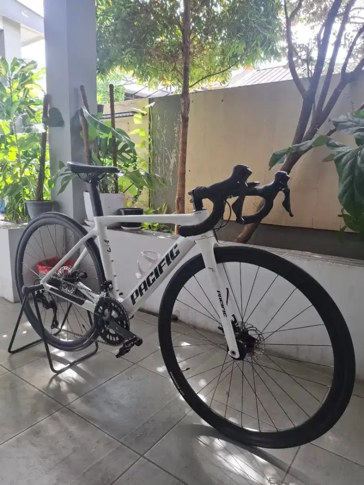 Roadbike carbon - pacific primum 5.5