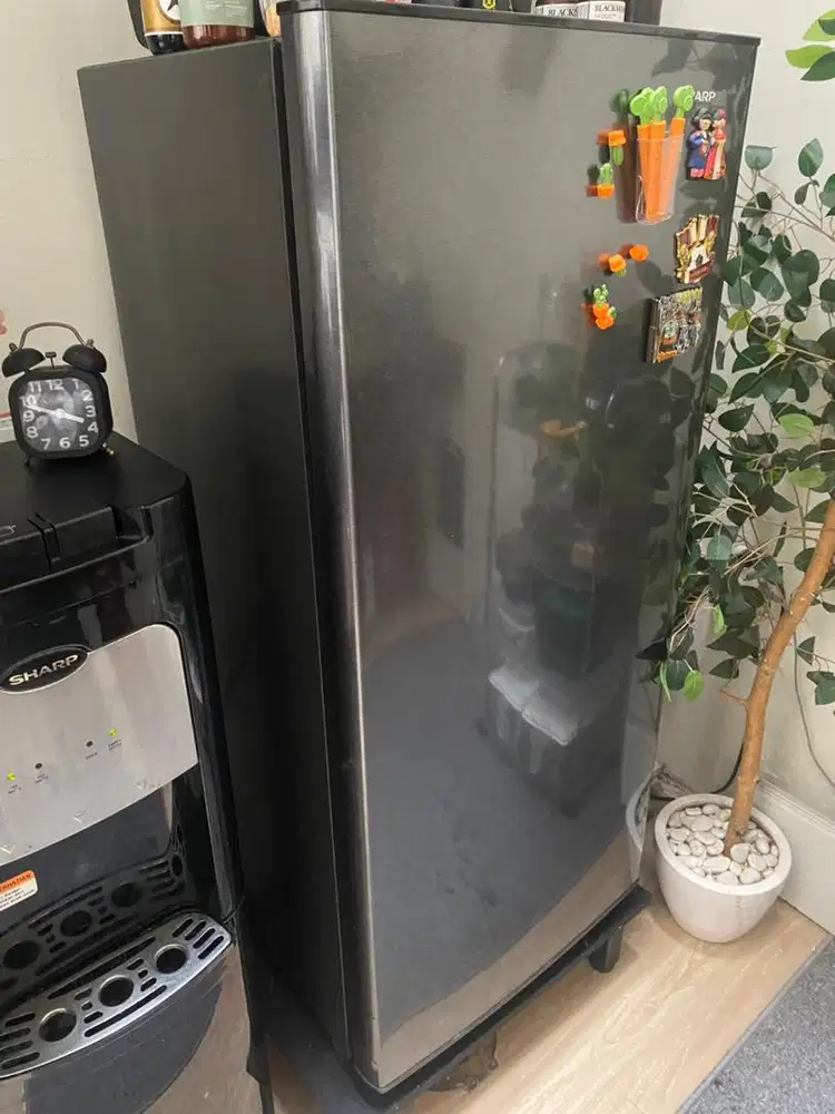 Kulkas Sharp 1 Pintu