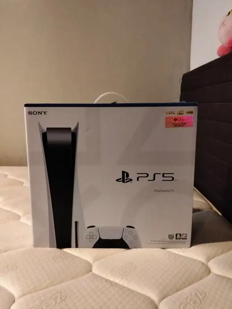 PLAYSTATION 5 FAT DISK 825 GB