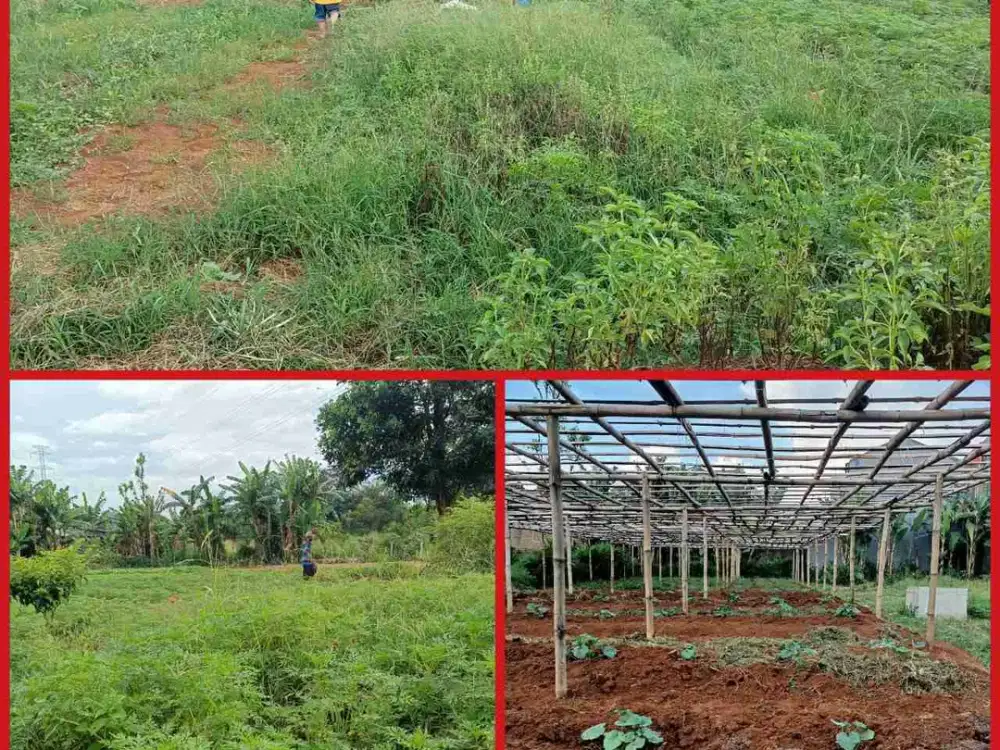 Dijual Tanah di Samping Tol Cijago, Jalan Raya Ciherang, Sukatani, Tapos