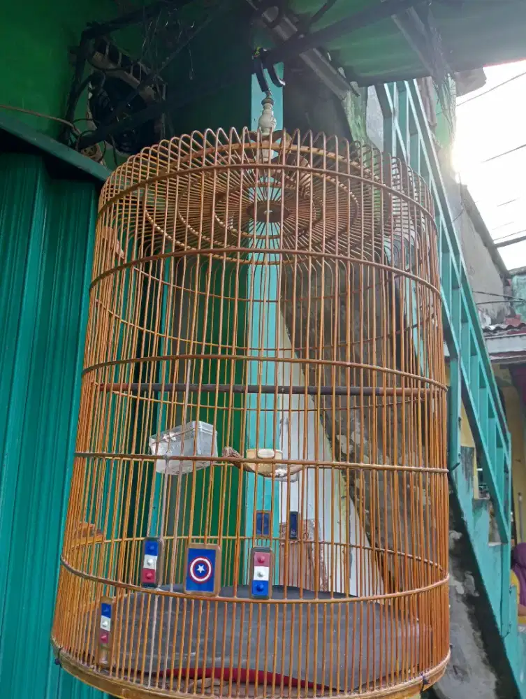 Bekas murai bnr no 2 jeruji keker minus tebok GK ada