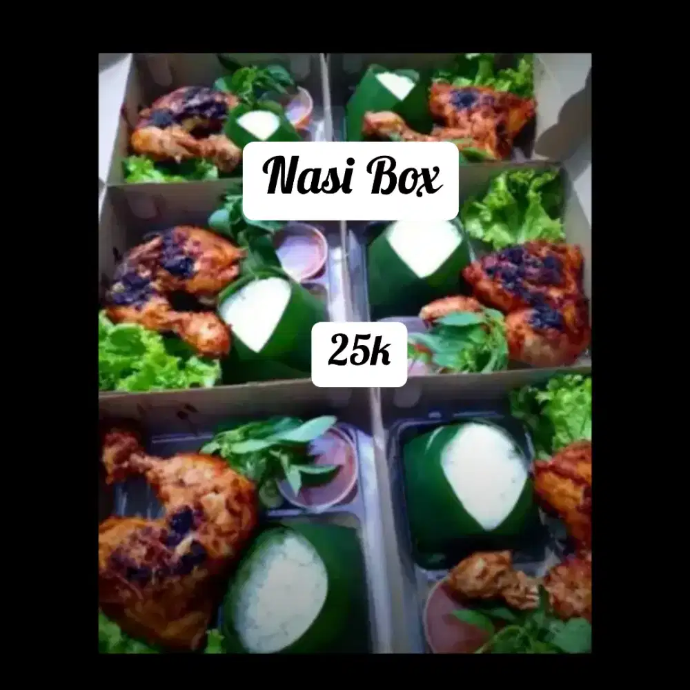 Aneka Nasi Box/Nasi Kotak