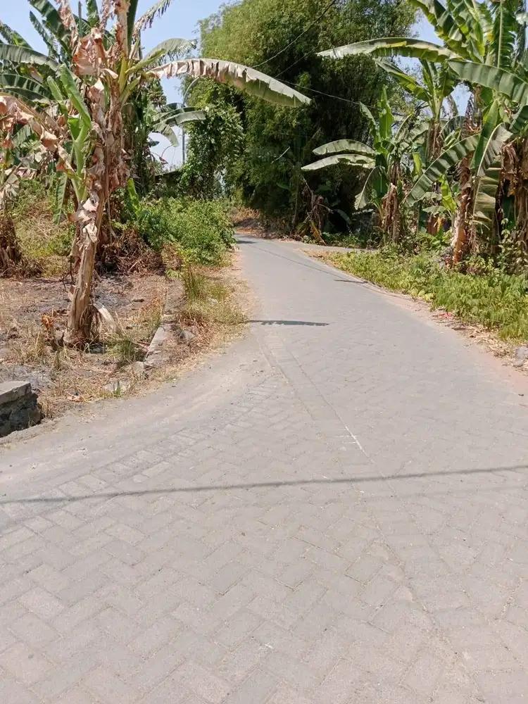 Tanah pinggir jalan dijual