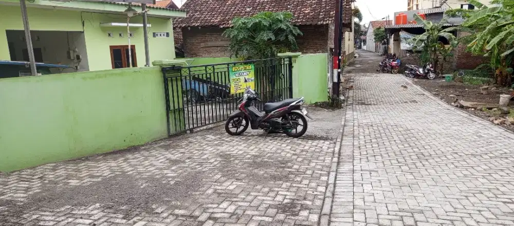 Kost Putra Sambiroto