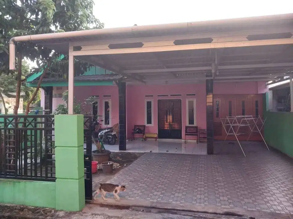 Di Jual / disewakan Rumah di Lubuk Linggau