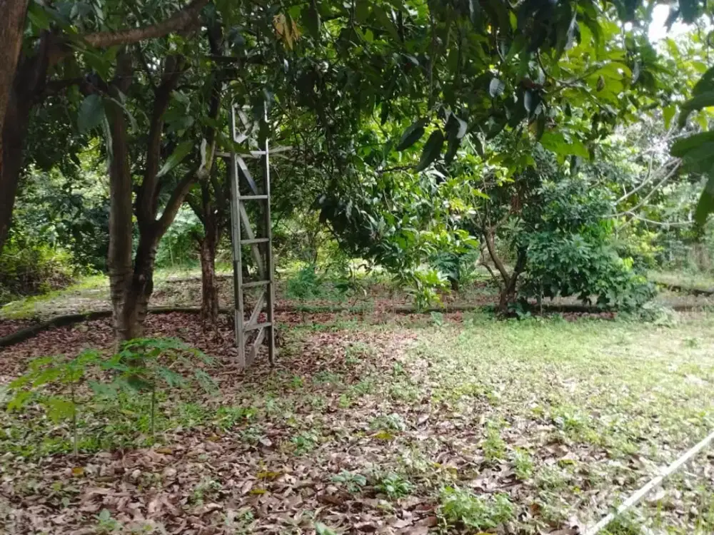 Tanah datar siap pakai di kemangsari jatimakmur Bekasi