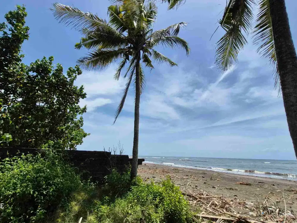 TANAH LOS PANTAI 1 HEKTAR DI DESA PENGAMBENGAN ZONA INDUSTRI