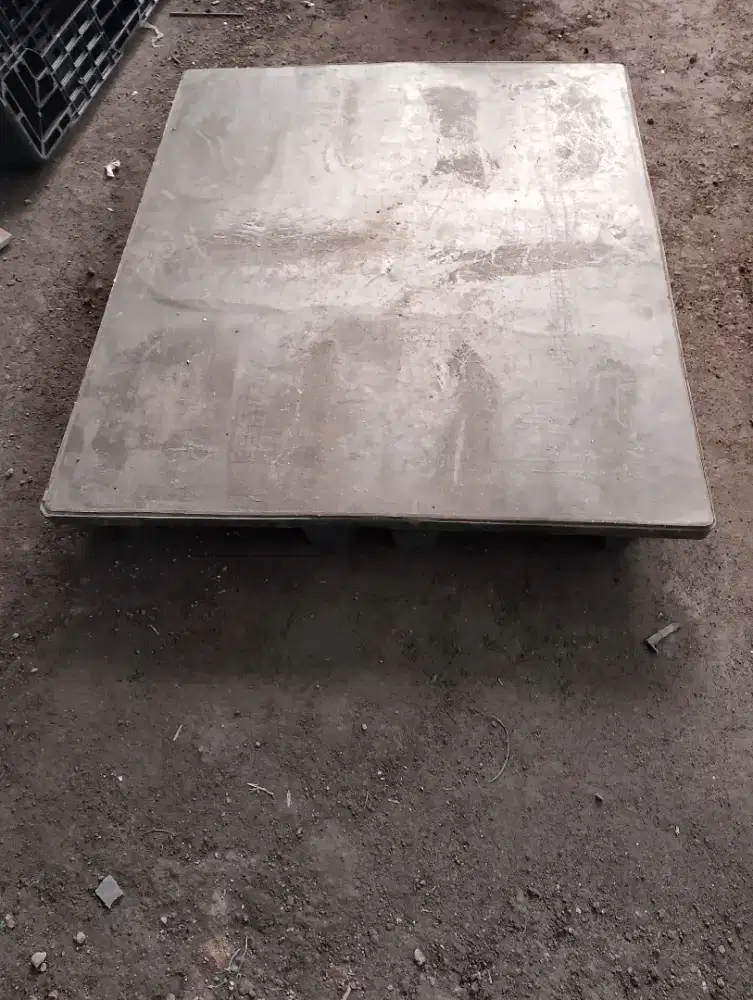 Pallet plastik anti rayap