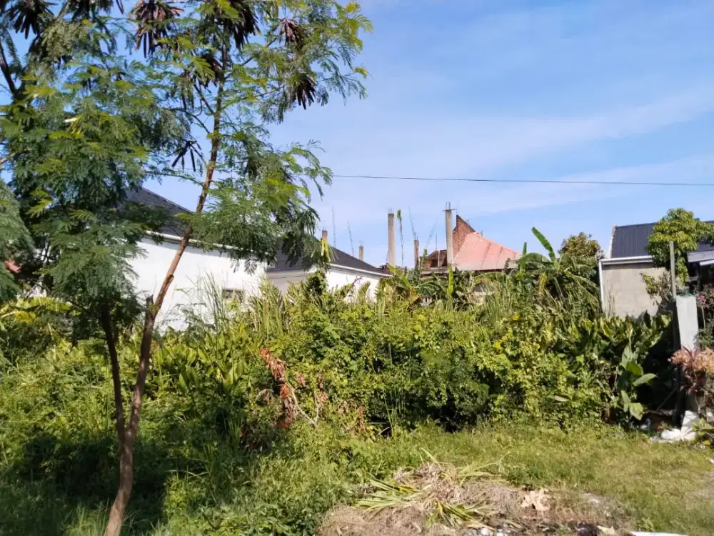 DIJUAL TANAH AREA LAMPASEH ACEH NEGO DITEMPAT