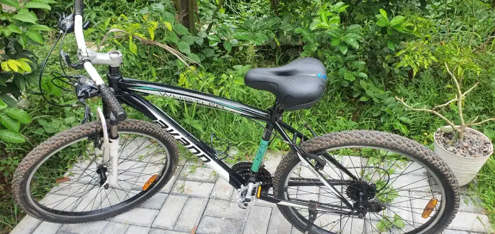 Sepeda avand ( jual cepat ) apa adanya.