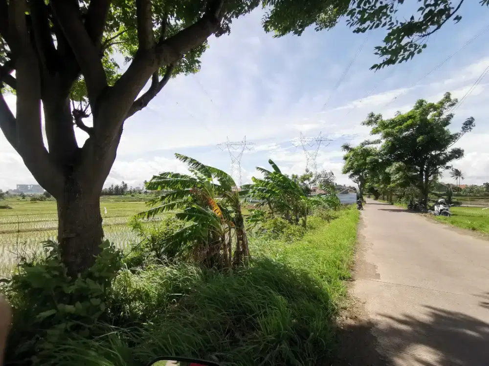 Tanah Murah Untuk Investasi , pinggir jalan luas 1300m2