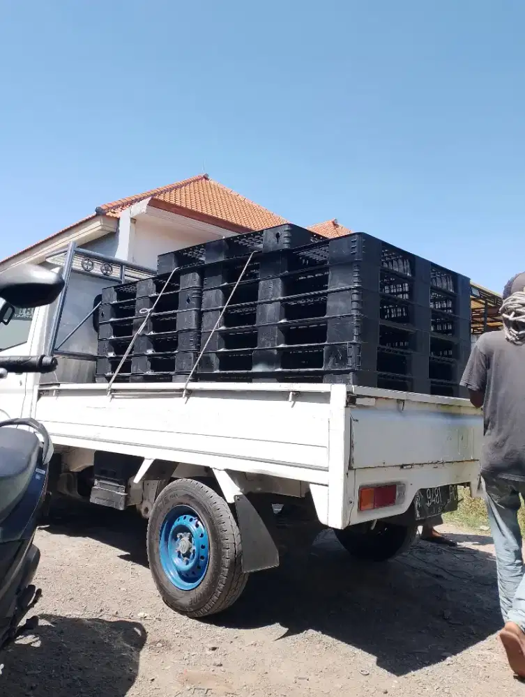 Pallet plastik ekonomis