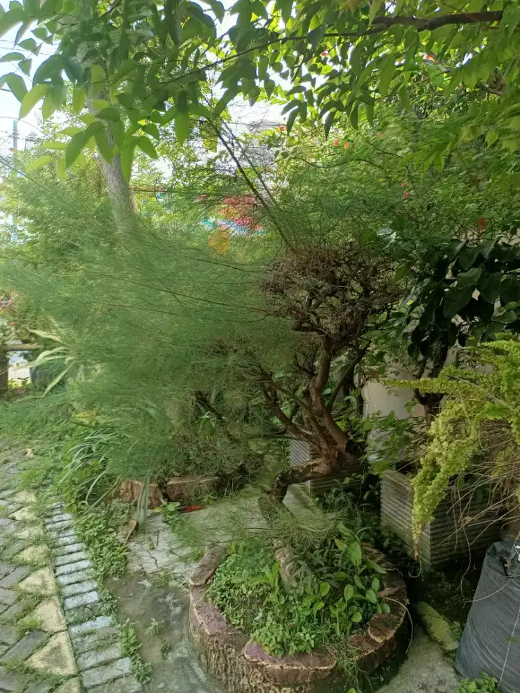 Edisi ganti suasana Cemoro udang