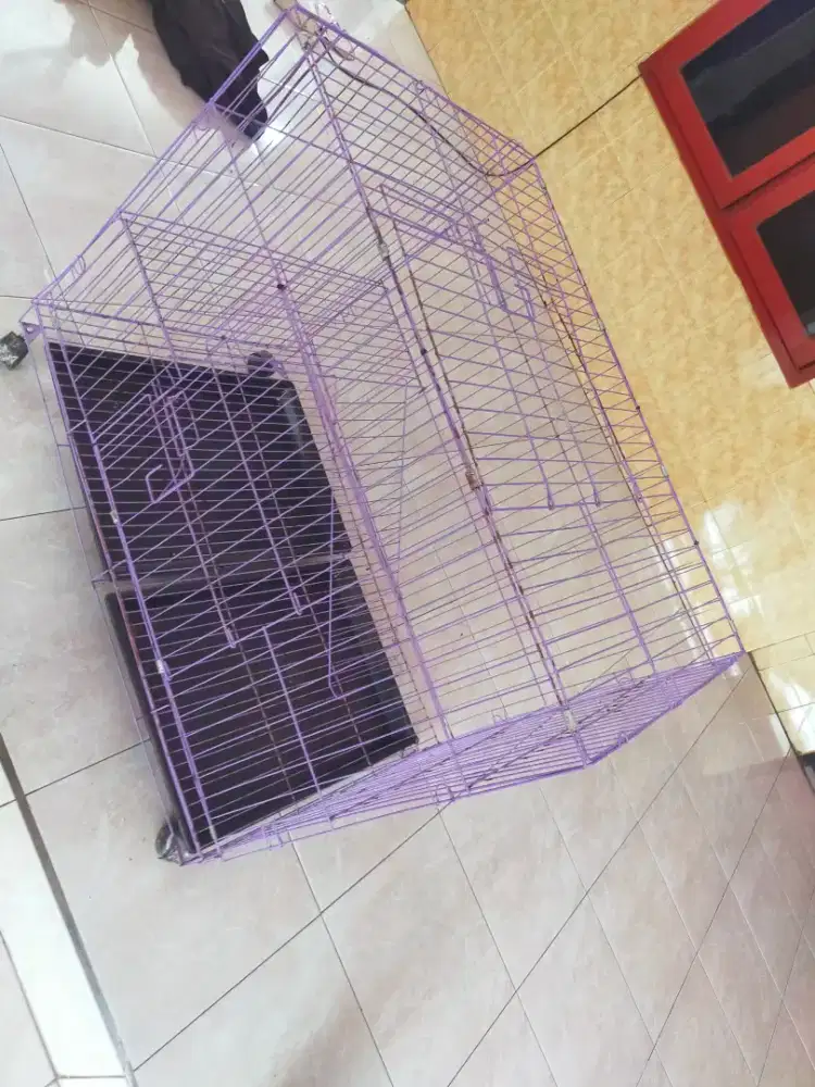 Kandang kucing jumbo