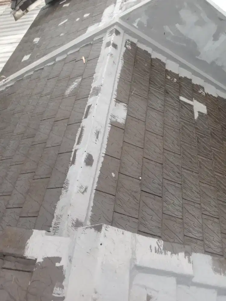 TukanG renovasi atap rmh bocor