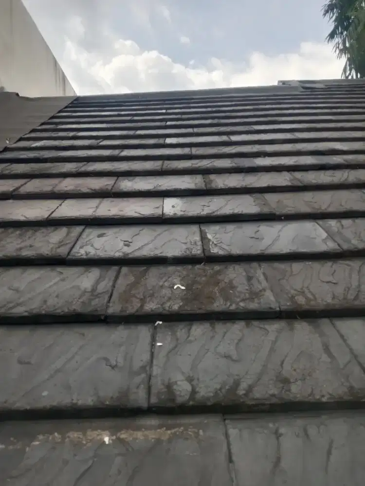 TukanG renovasi atap rmh bocor