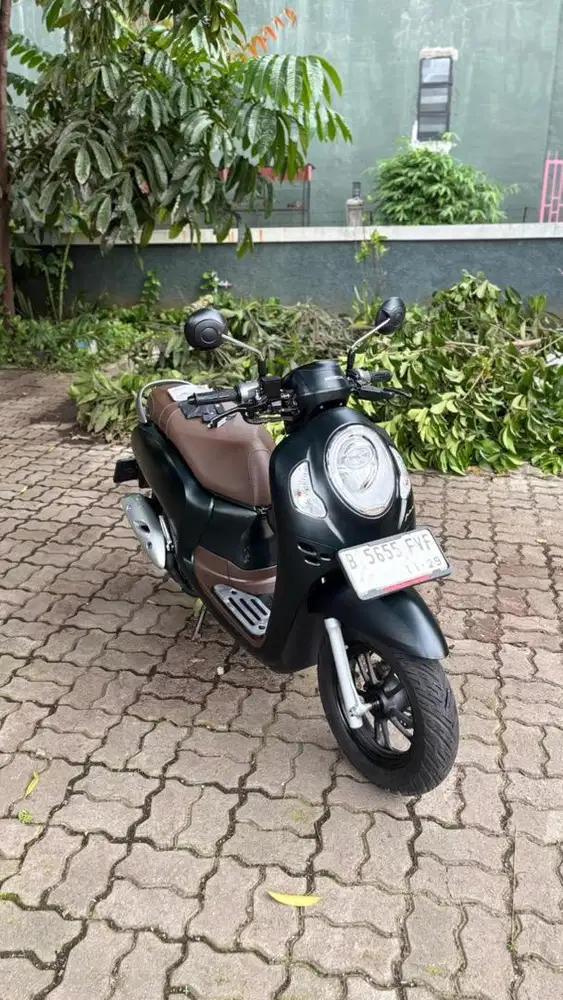 Scoopy Prestige