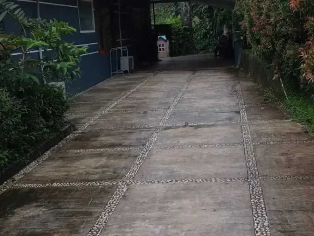 Villa Taman Luas Asri Nyaman Sejuk Di Cisarua Puncak Bogor Harga Murah