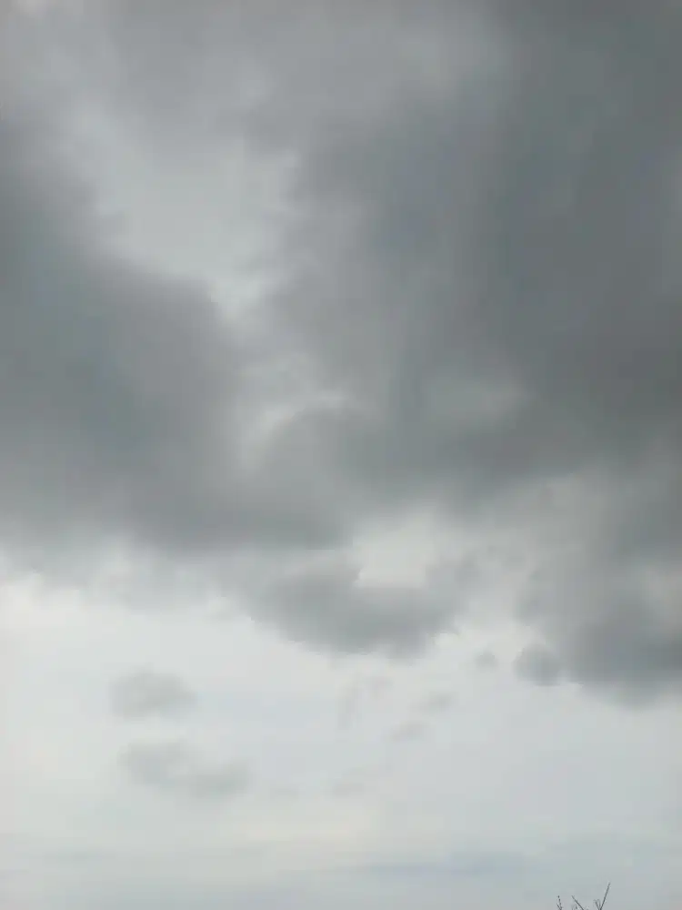 Aspri wanita untuk istri sy