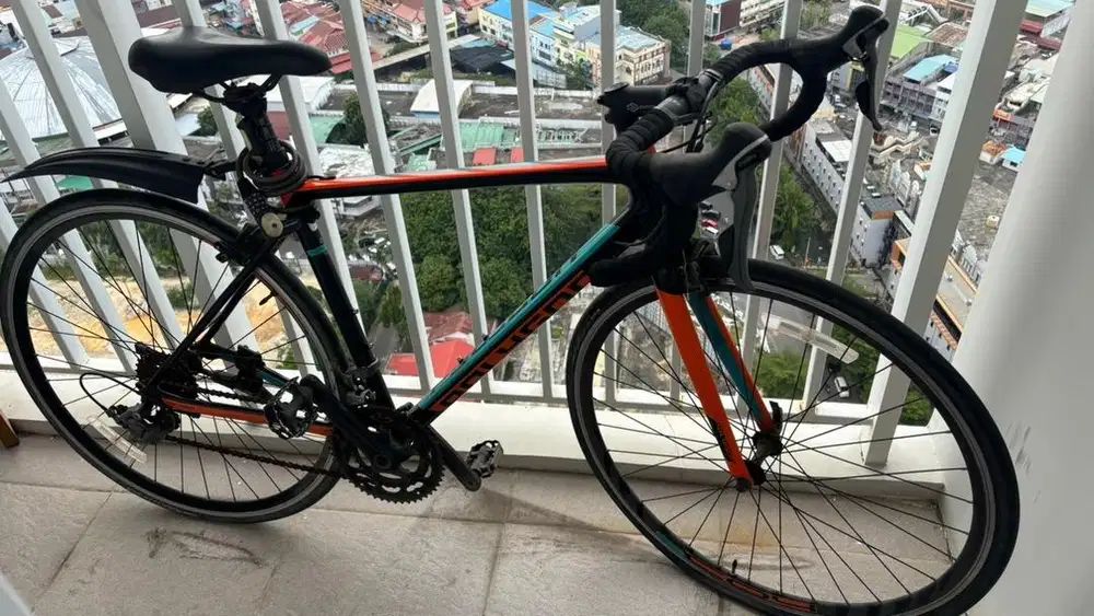 Sepeda bekas polygon