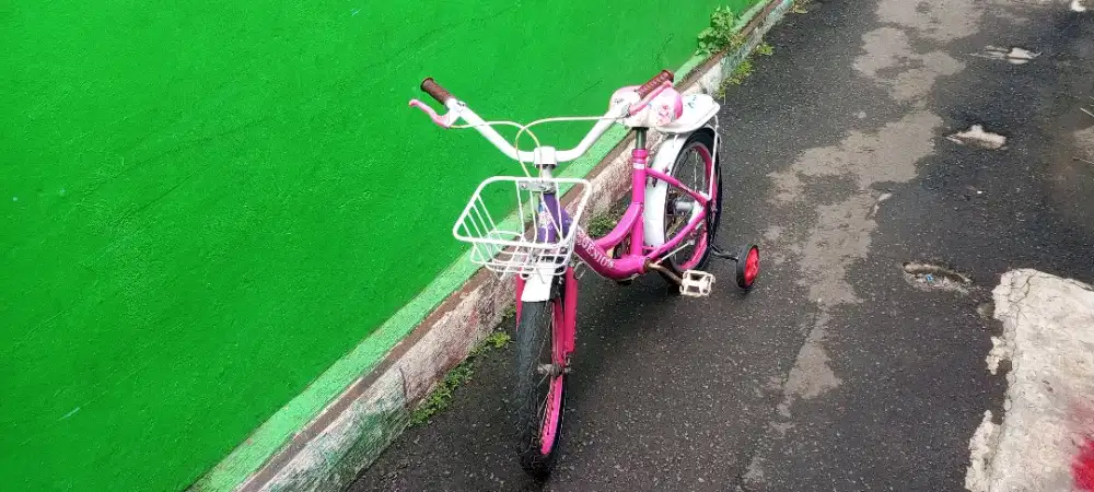 Sepeda mini anak-anak