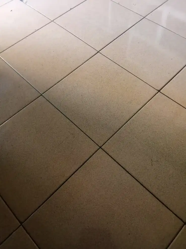 Ruangan usaha busa untuk kantor / usaha