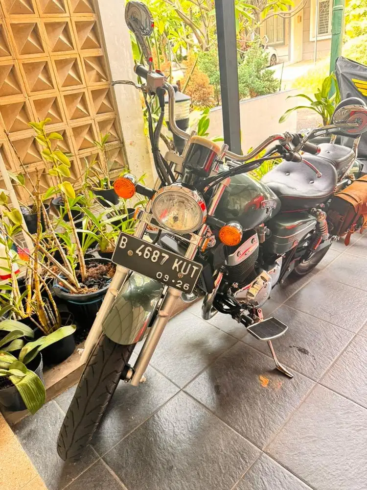 Benelli Patagonian Eagle