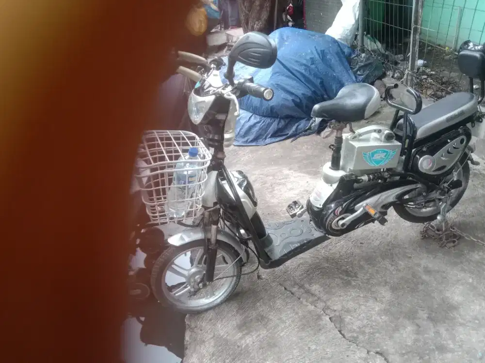 Selis. Super. Rider. 48. Volt. +12AH.