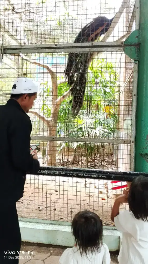 Mencari loker driver buat suami