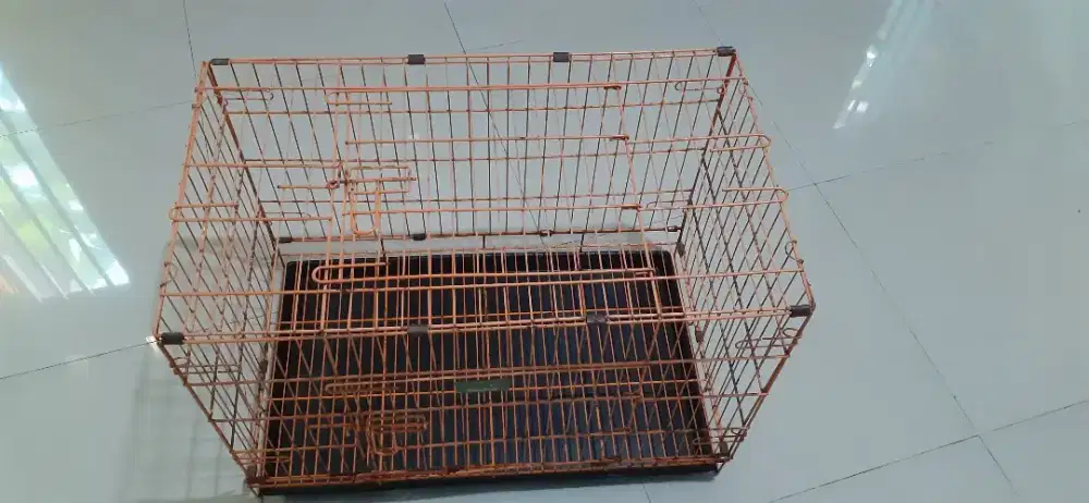 Kandang Anjing Kucing Jumbo 2 Pintu