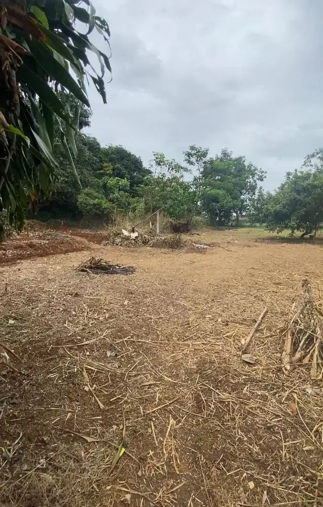 TANAH 628m2 | SHM | NEGOTIABLE