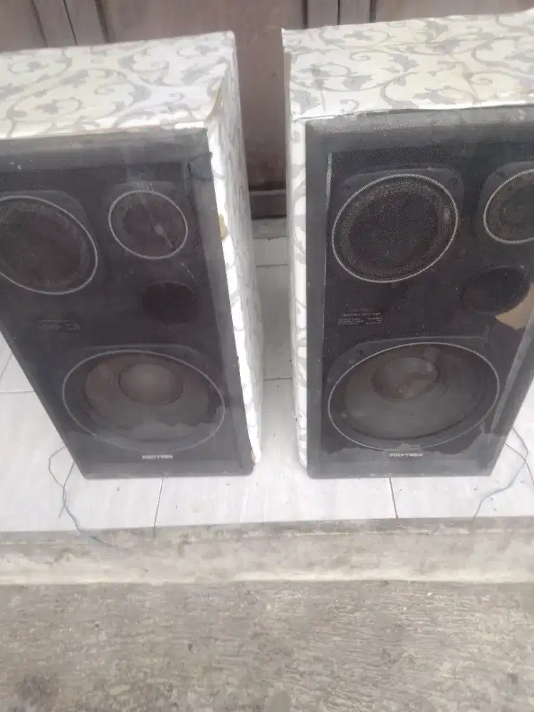 SEPASANG SPEAKER POLYTRON