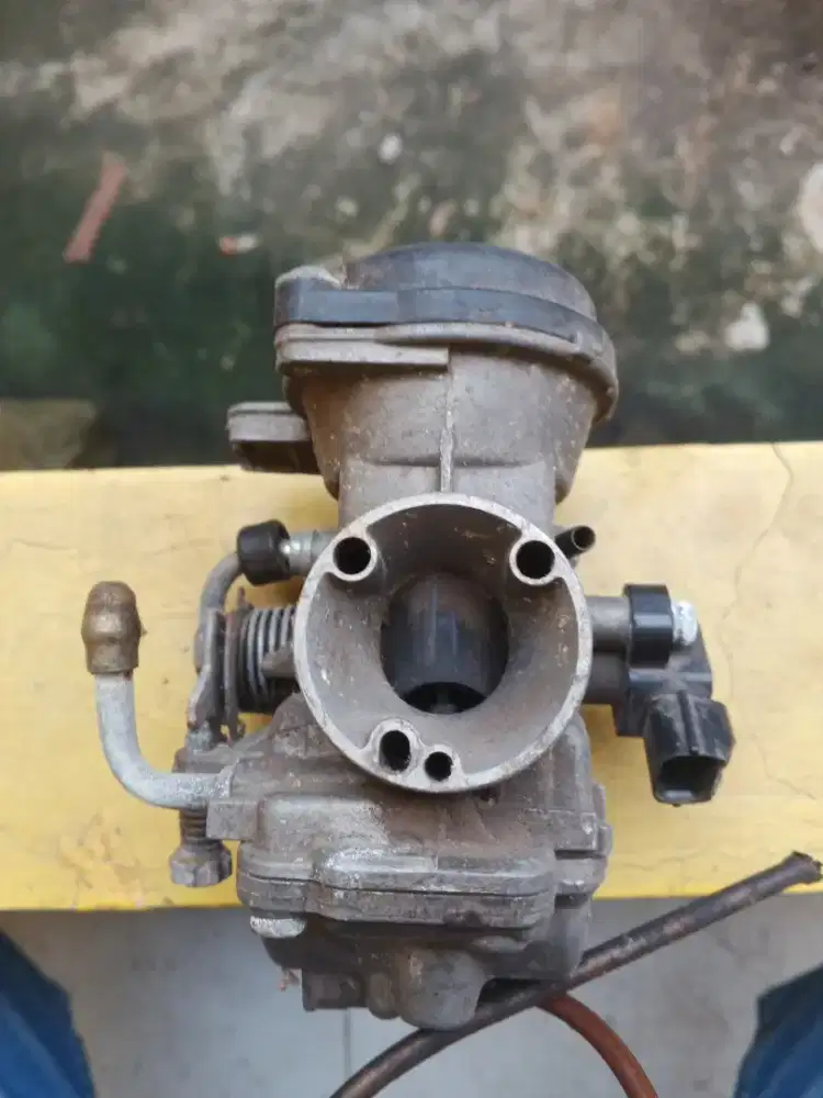 Karbu byson original