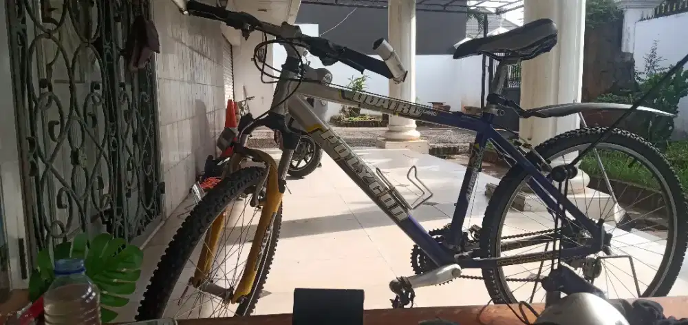 sepeda polygon quarto qubic