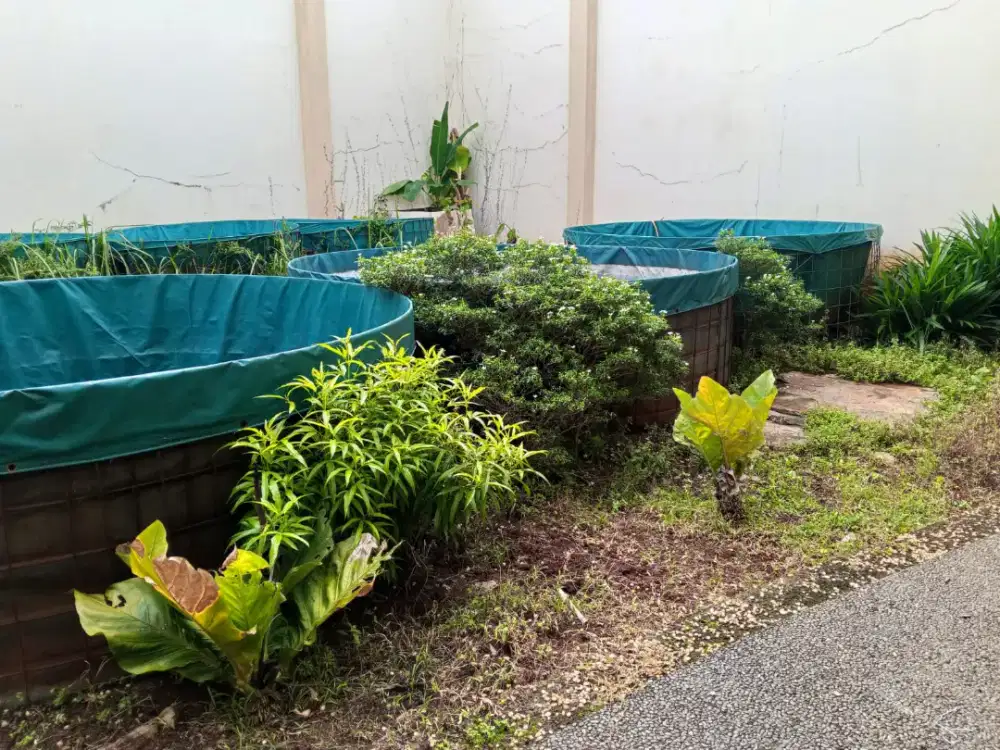 Kolam Terpal Bulat Bekas Pakai Merk Orchid Berkualitas