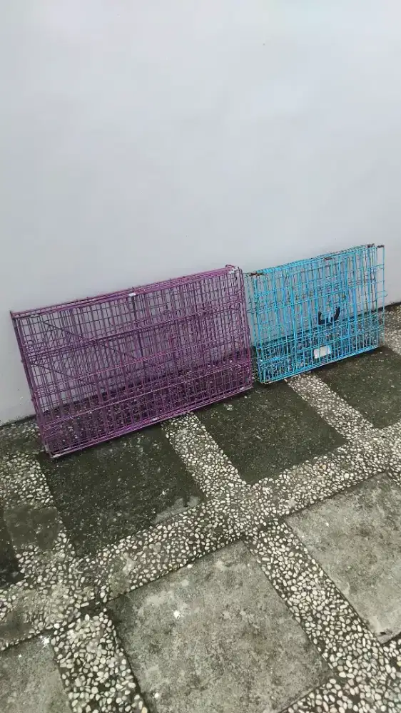 Kandang Kucing second