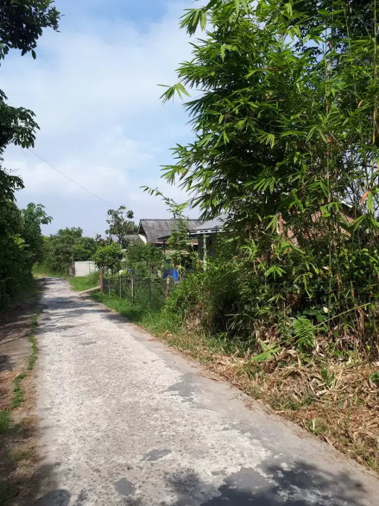 Jual Tanah 677 m² Lokasi Strategis Daerah Sako Palembang