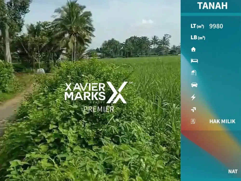 Dijual Tanah Lahan Tebu Di Daerah Ketawang Gondanglegi Malang(OLX517)