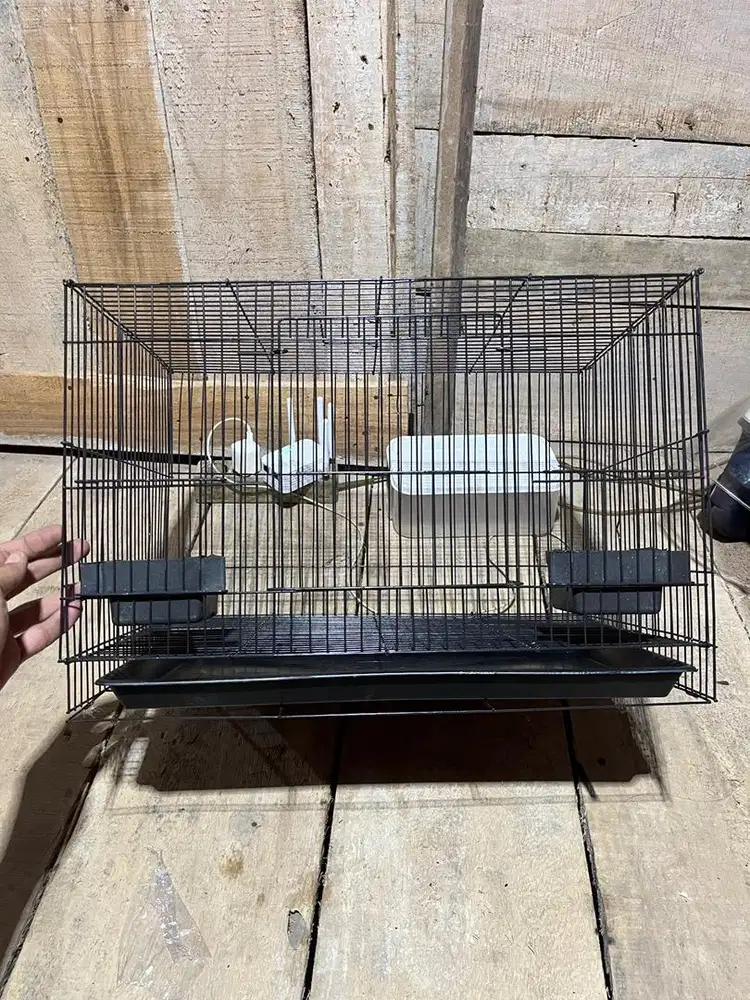 Kandang besi lipat 50x30x30