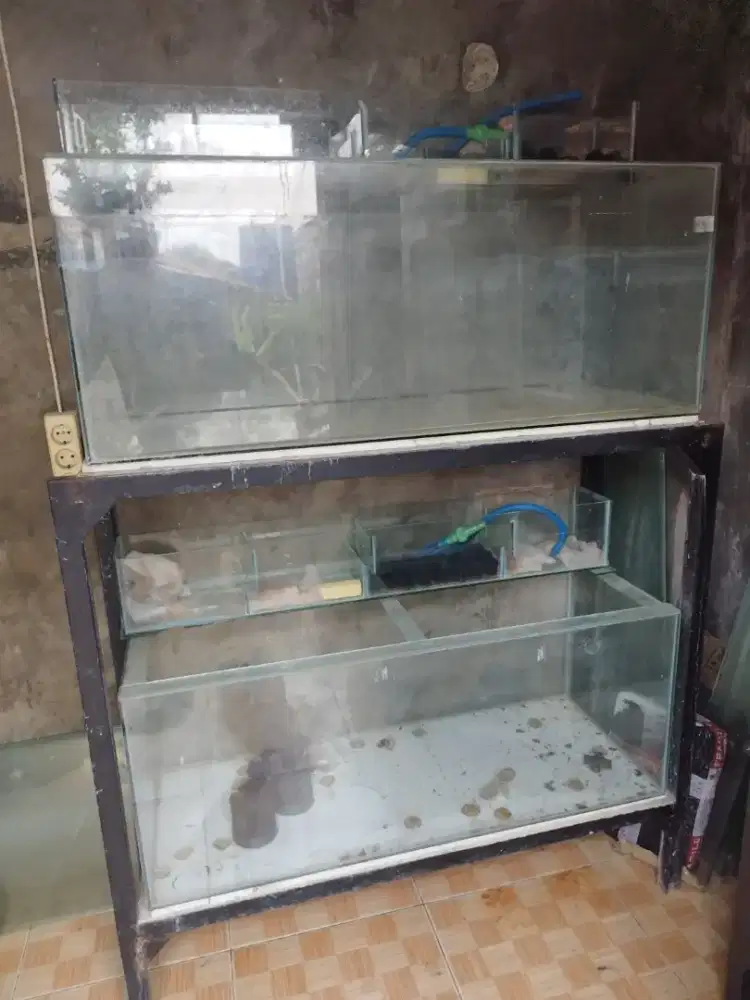 Aquarium 100x40x40