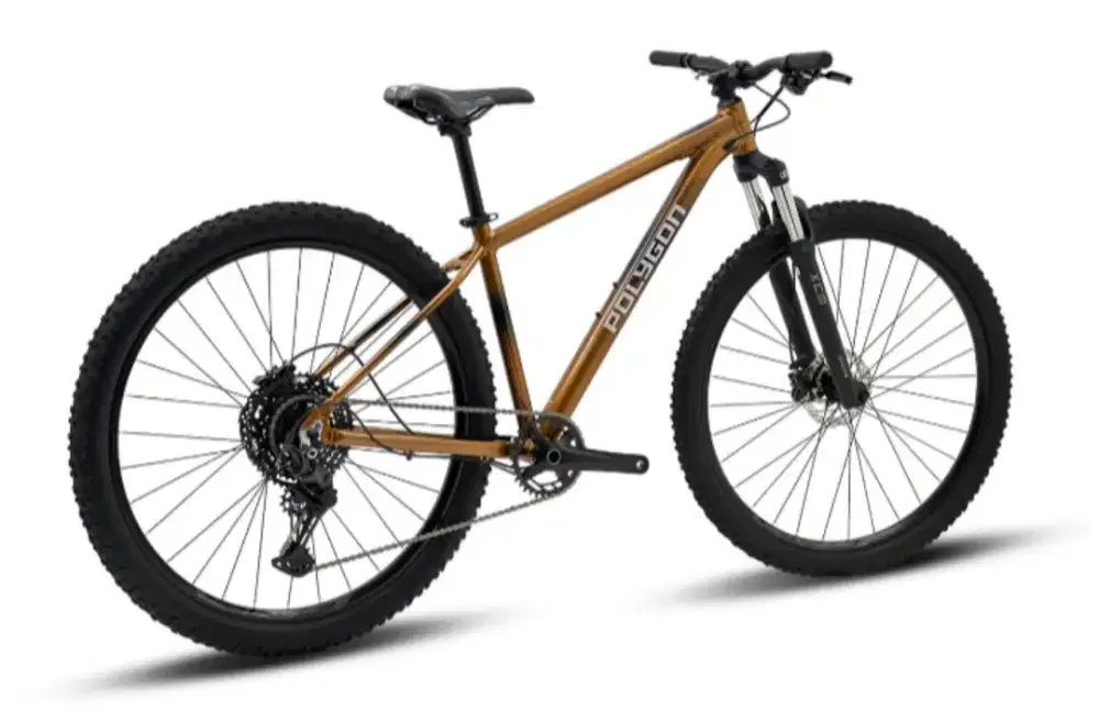 Polygon Sepeda Gunung CASCADE 5