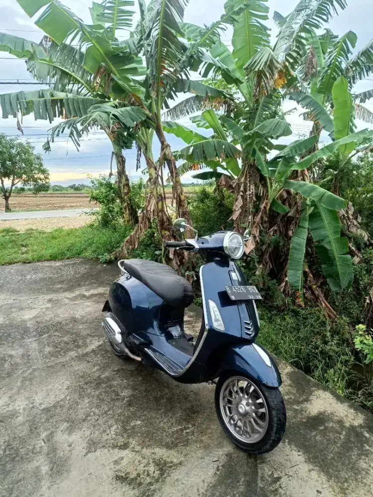 Vespa Primavera 3v 2016