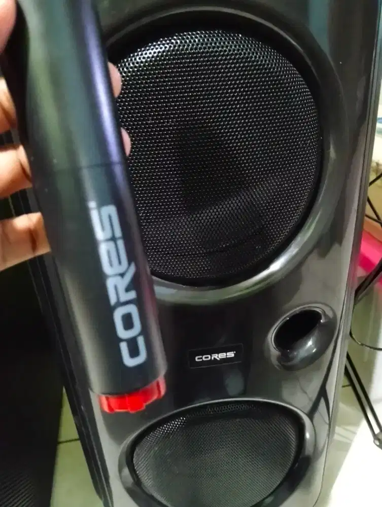 Speaker CORES CSTR-10B gigantic pro