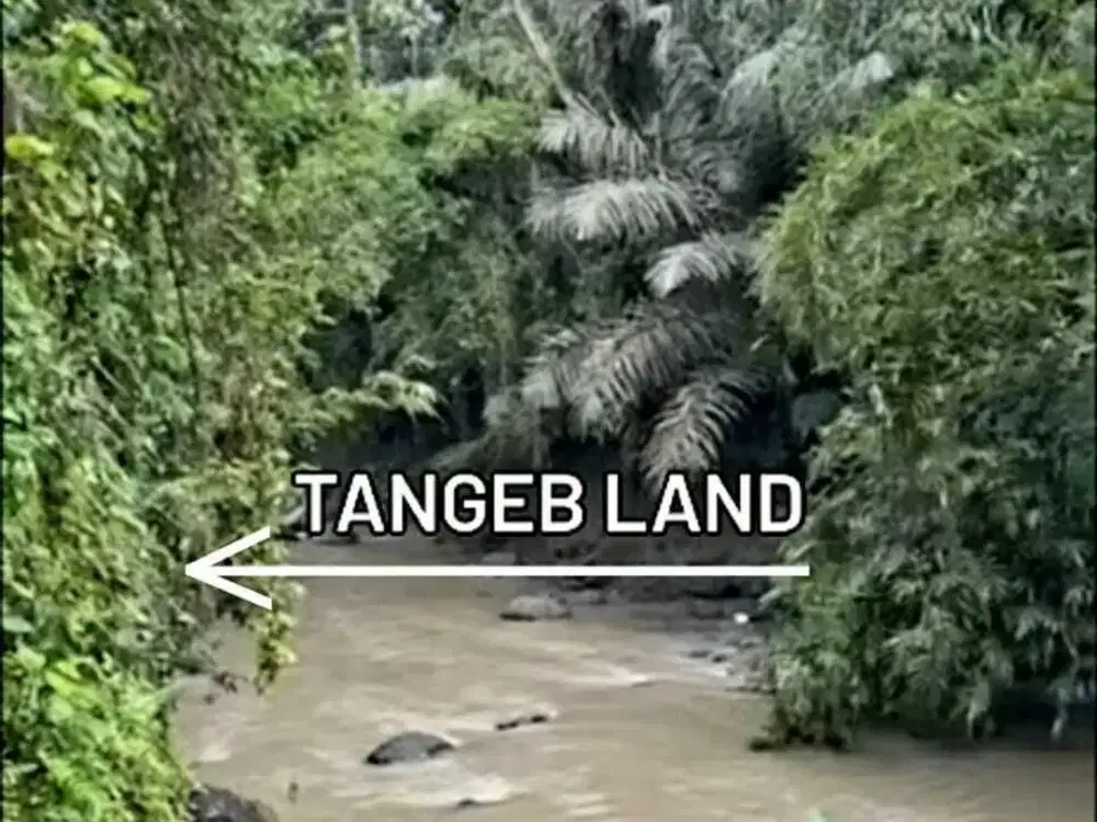 Land for sale in Tumbak Bayuh, Bali